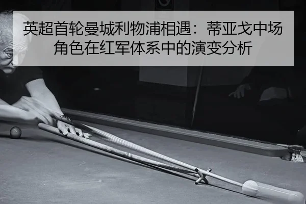 ying-chao-shou-lun-man-cheng-li-wu-pu-xiang-yu-di-ya-ge-zhong-chang-jue-se-zai-hong-jun-ti-xi-zhong-de-yan-bian-fen-xi-2-294.jpg